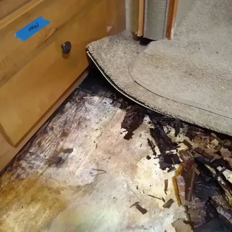 Best Wood Floor Water Damage Service in Adelanto, CA